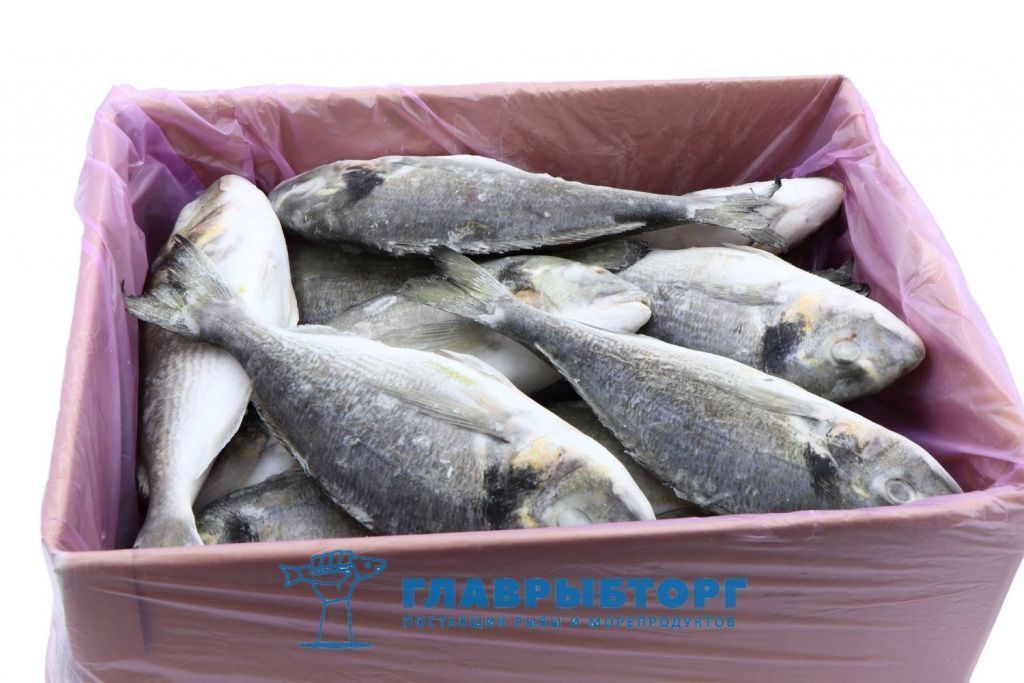 картинка Дорадо свежезамороженный не потрошёный 300/400 Турция от Главрыбторг