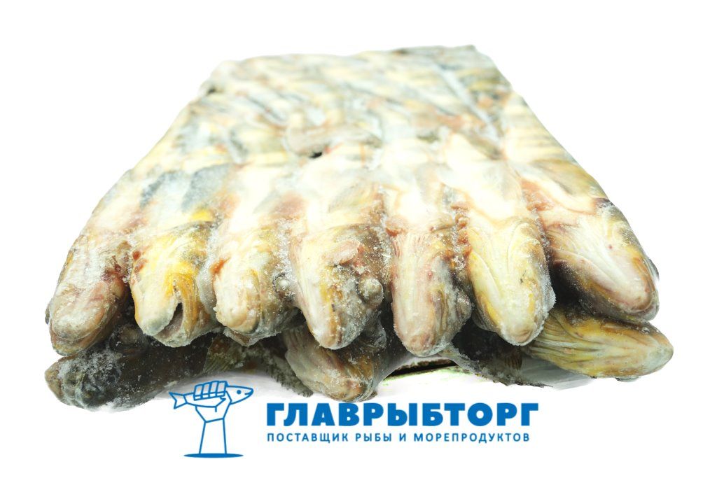 картинка Терпуг неразделанный с головой L 600-800 Камчатка от Главрыбторг