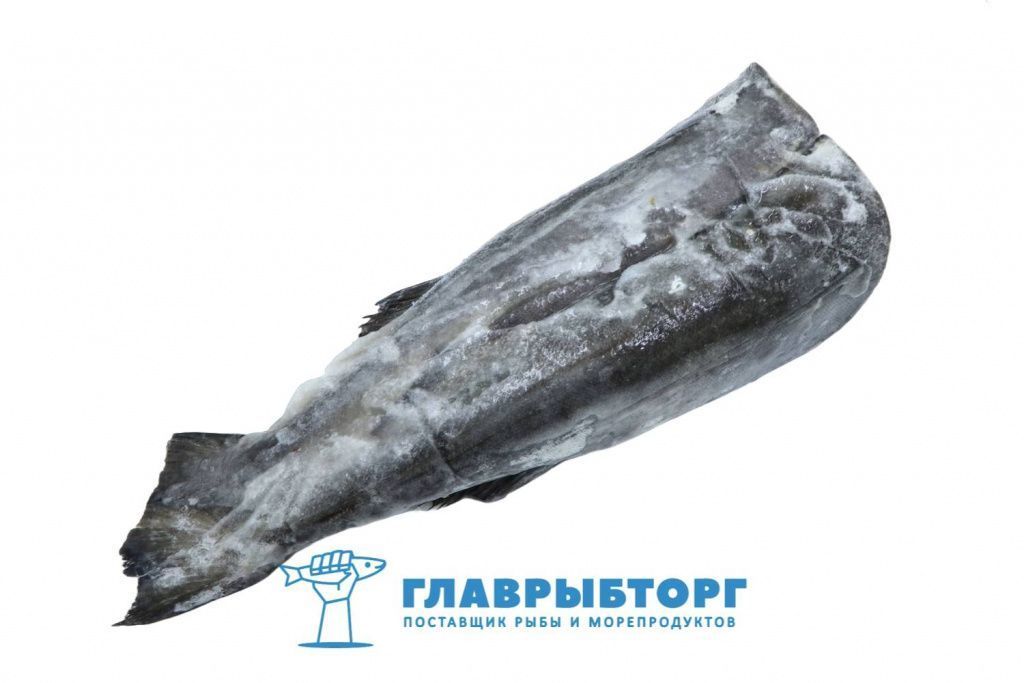 картинка Чёрная треска тушка без головы (угольная рыба) S 1-1,5кг Островной от Главрыбторг