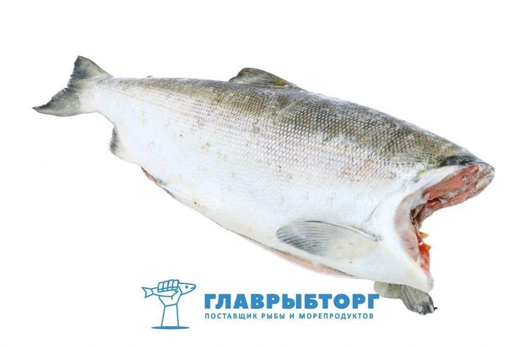картинка Нерка штучной заморозки потрошёная без головы 1,5-2,5кг Камчатка от Главрыбторг