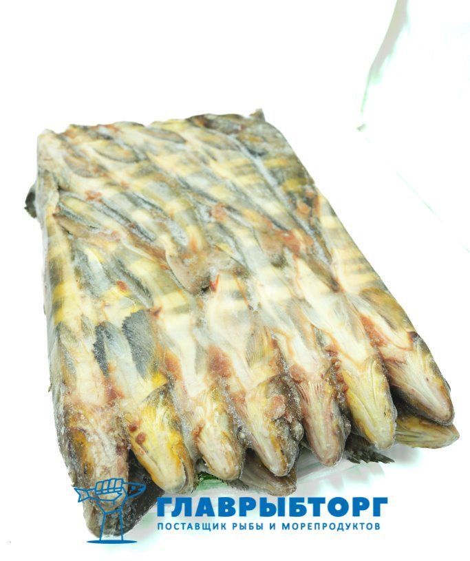 картинка Терпуг неразделанный с головой L 600-800 Камчатка от Главрыбторг