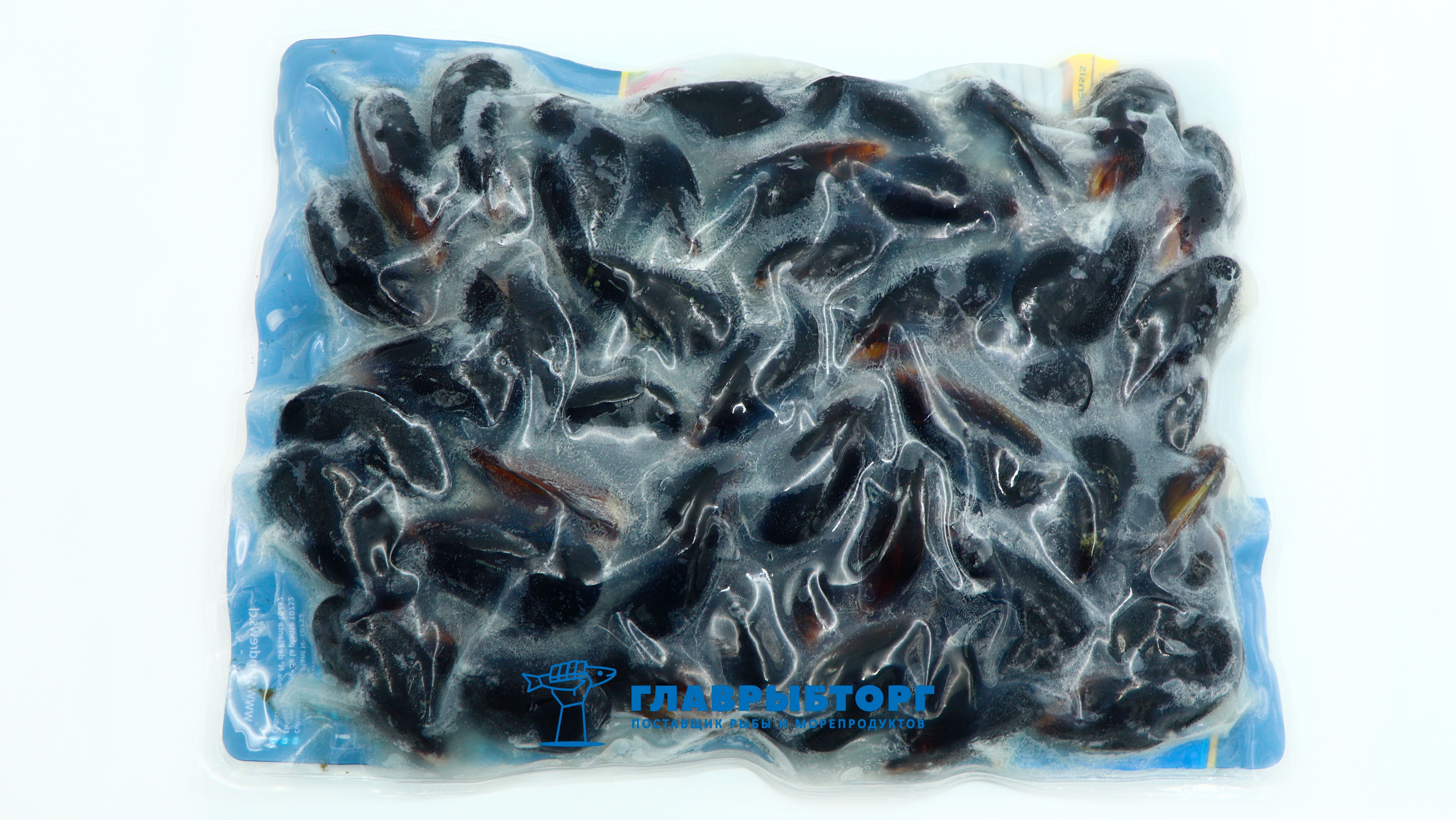 картинка Мидии целые в голубых раковинах 50/70 шт/кг от Главрыбторг