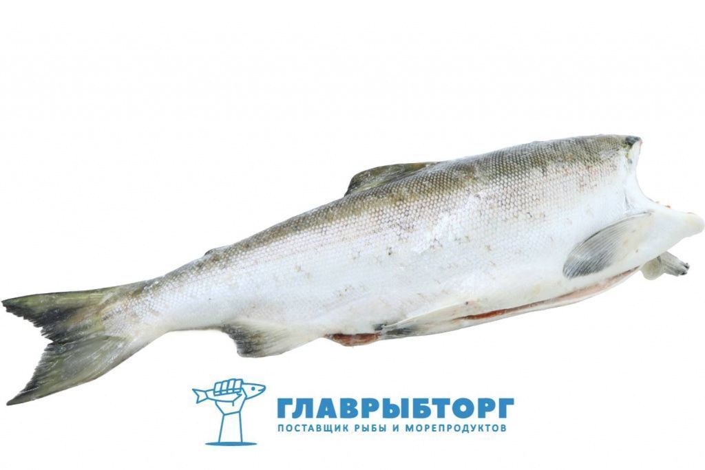 картинка Нерка штучной заморозки потрошёная без головы 1,5-2,5кг Камчатка от Главрыбторг